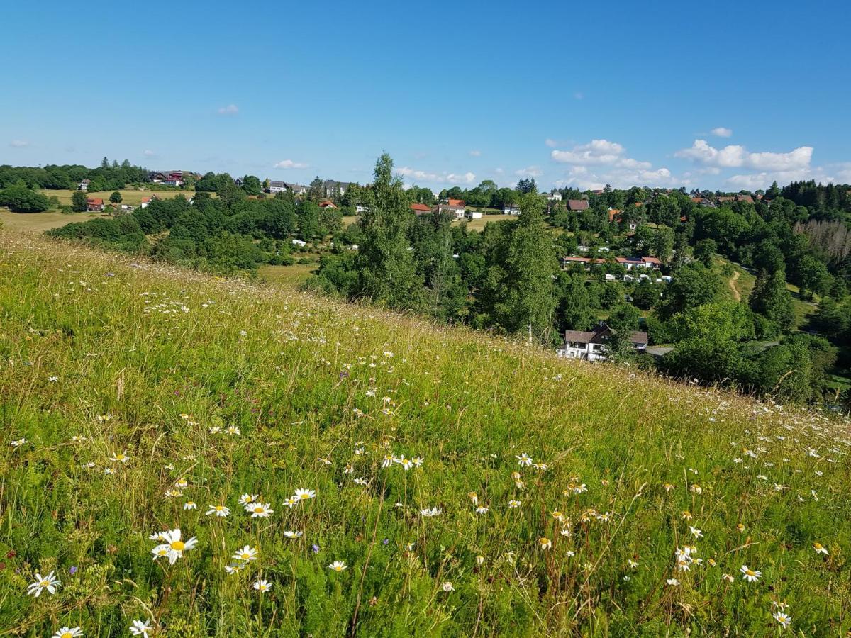 Haus Waldblick Hotel Hohegeiss Bagian luar foto